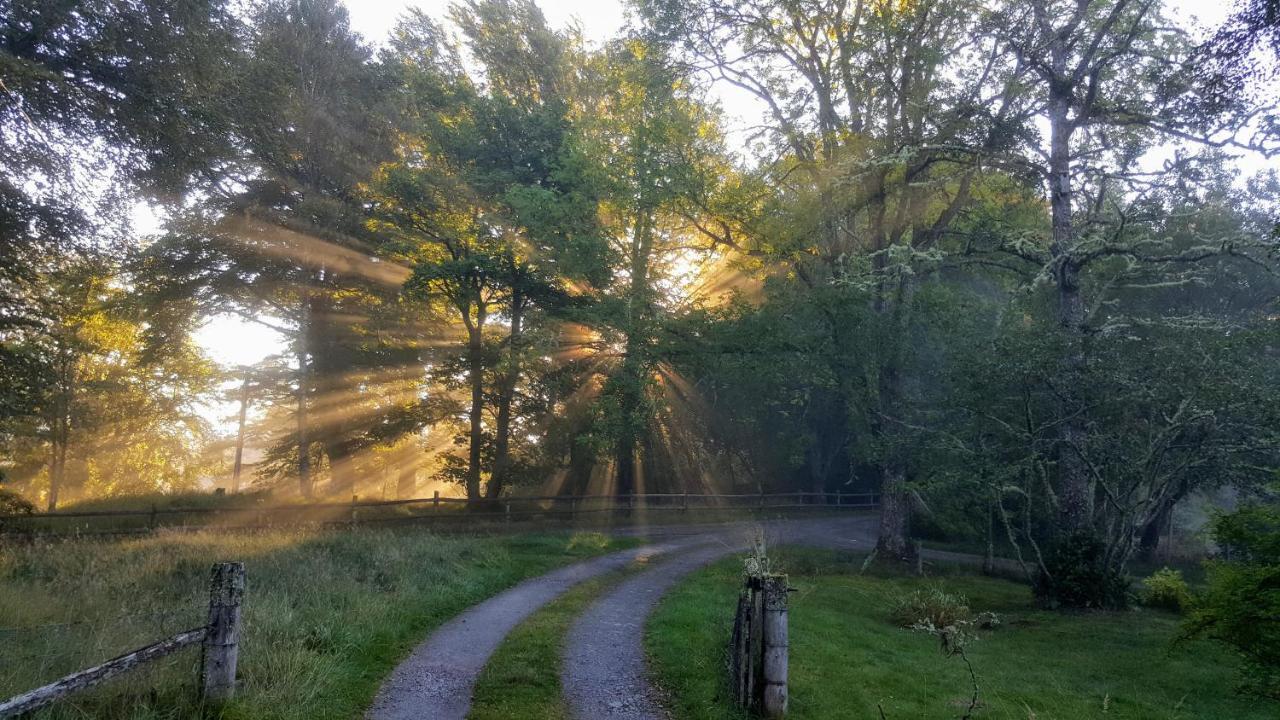 Glentruim Homestay B&B And Glamping Pods Newtonmore Εξωτερικό φωτογραφία